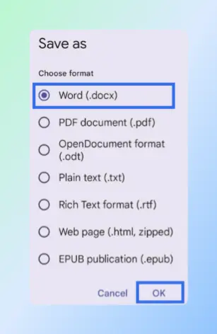 Google Docs mobile app Save as dialog with Word (.docx) option selected