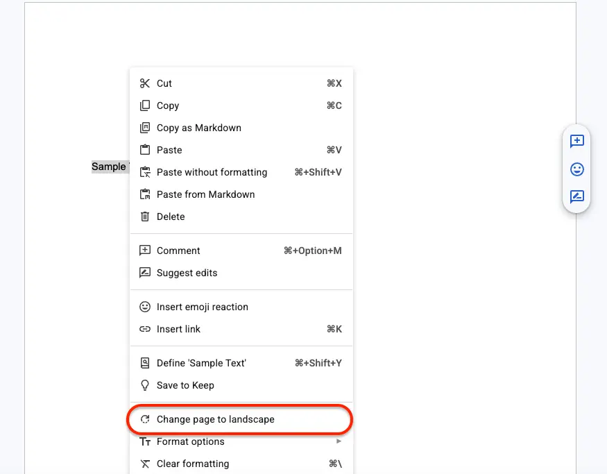 Google Docs document showing the target page content highlighted while surrounding pages remain unselected